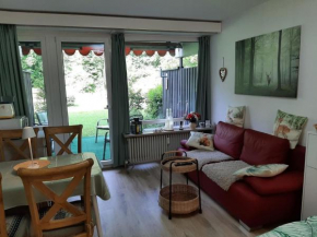 Alpenschwänchen 4 - Saalachschwänchen Bad Reichenhall